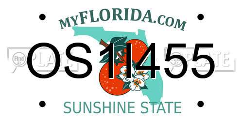 OS1I455 Florida License Plate