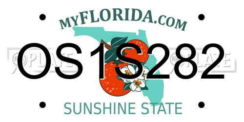 OS1S282 Florida License Plate