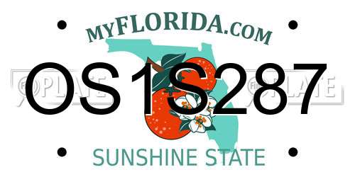 OS1S287 Florida License Plate