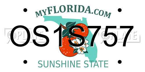 OS1S757 Florida License Plate
