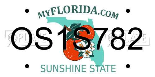 OS1S782 Florida License Plate