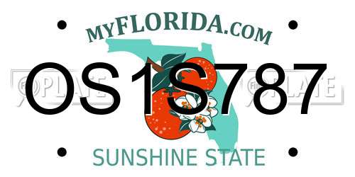 OS1S787 Florida License Plate