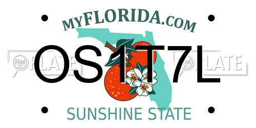 OS1T7L Florida License Plate