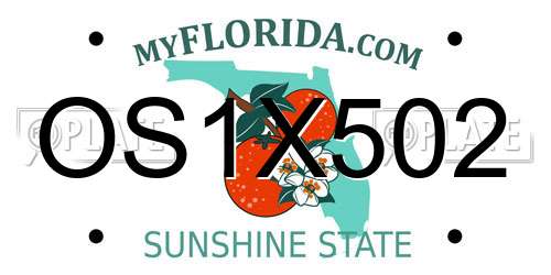 OS1X502 Florida License Plate