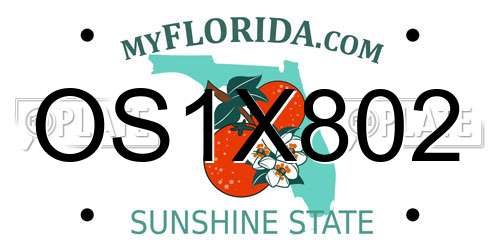 OS1X802 Florida License Plate