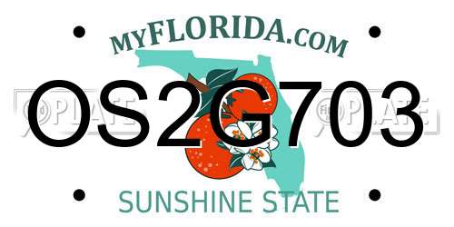 OS2G703 Florida License Plate