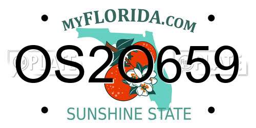 OS2O659 Florida License Plate