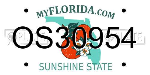 OS30954 Florida License Plate