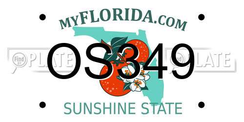 OS349 Florida License Plate