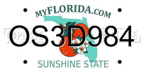 OS3D984 Florida License Plate