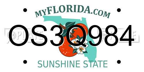 OS3Q984 Florida License Plate