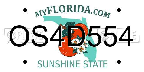 OS4D554 Florida License Plate