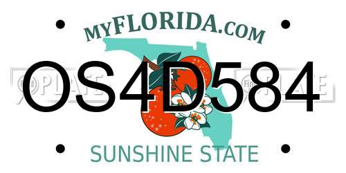 OS4D584 Florida License Plate