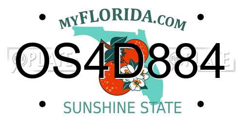 OS4D884 Florida License Plate