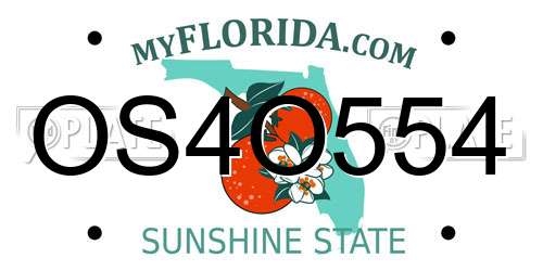 OS4O554 Florida License Plate