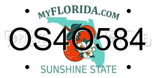 OS4O584 Florida License Plate