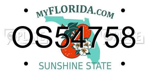OS54758 Florida License Plate