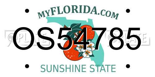 OS54785 Florida License Plate
