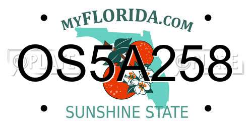 OS5A258 Florida License Plate