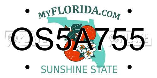 OS5A755 Florida License Plate