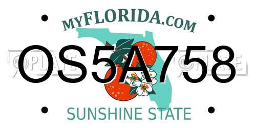 OS5A758 Florida License Plate