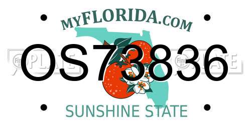OS73836 Florida License Plate