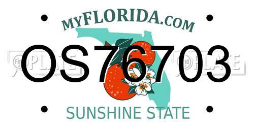 OS76703 Florida License Plate