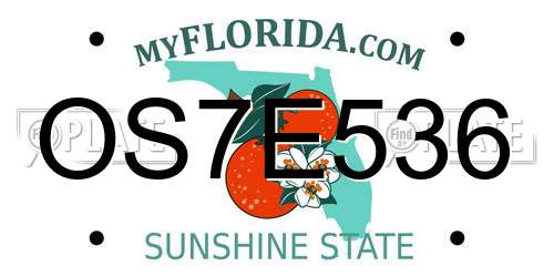 OS7E536 Florida License Plate