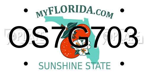 OS7G703 Florida License Plate
