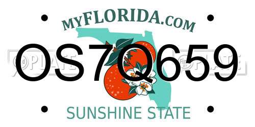 OS7Q659 Florida License Plate