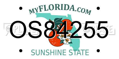 OS84255 Florida License Plate