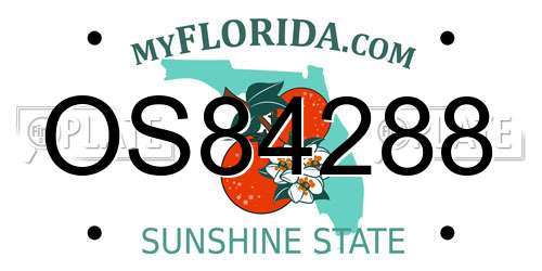 OS84288 Florida License Plate