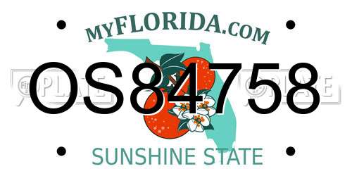 OS84758 Florida License Plate