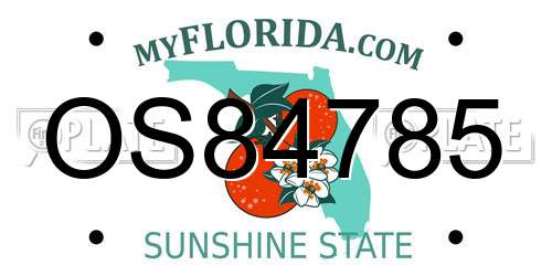 OS84785 Florida License Plate