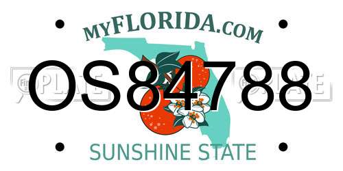 OS84788 Florida License Plate