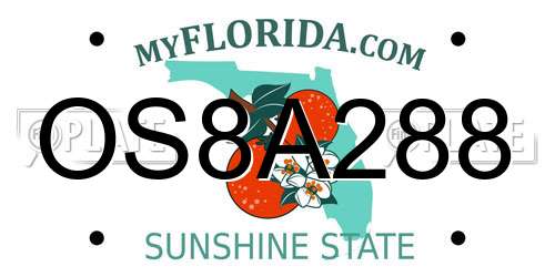 OS8A288 Florida License Plate