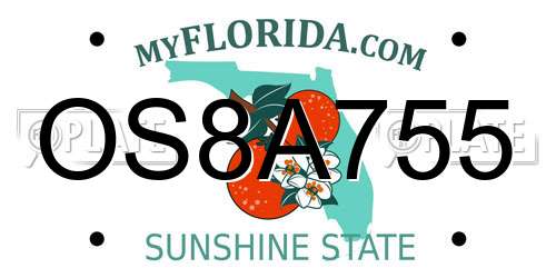 OS8A755 Florida License Plate