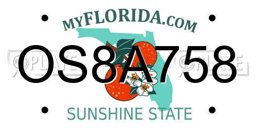 OS8A758 Florida License Plate