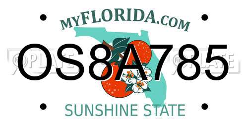 OS8A785 Florida License Plate