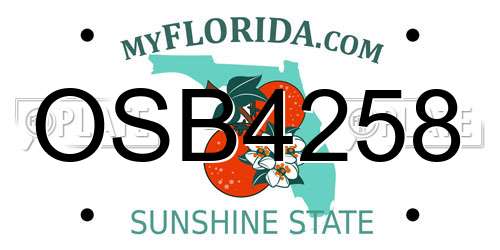 OSB4258 Florida License Plate