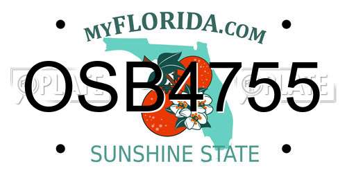 OSB4755 Florida License Plate