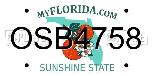 OSB4758 Florida License Plate