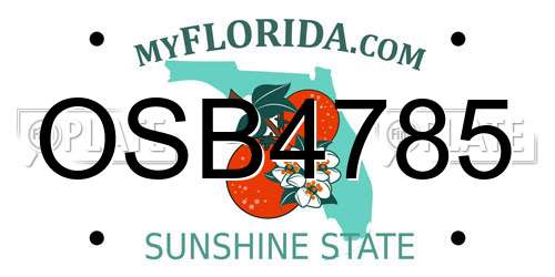 OSB4785 Florida License Plate