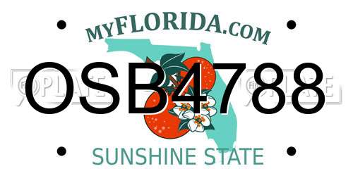 OSB4788 Florida License Plate
