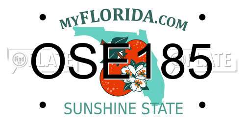 OSE185 Florida License Plate