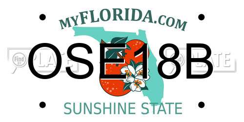 OSE18B Florida License Plate