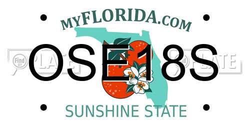 OSE18S Florida License Plate