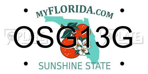 OSG13G Florida License Plate
