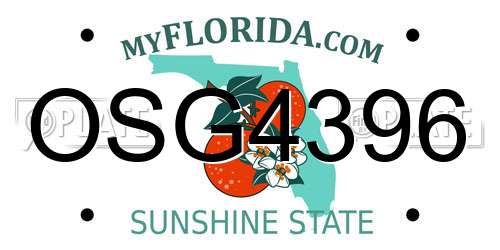 OSG4396 Florida License Plate