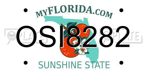OSI8282 Florida License Plate